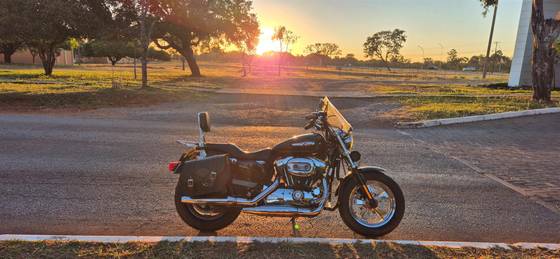 HARLEY-DAVIDSON SPORTSTER 1200 CUSTOM CA LIMITED 